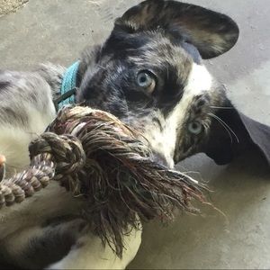 Meet your Posher, Lily